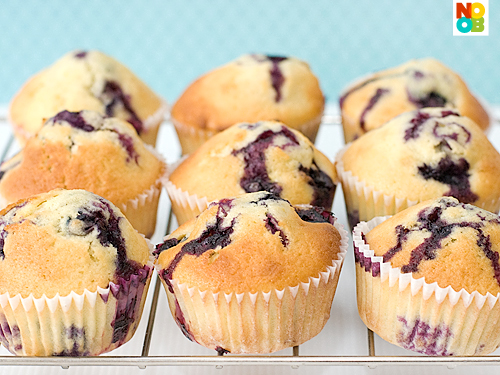 Blueberry Muffin Recipe