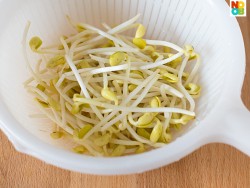 soya bean sprouts