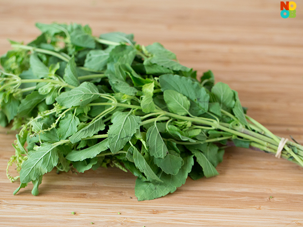 Thai Holy Basil Recipe NoobCook