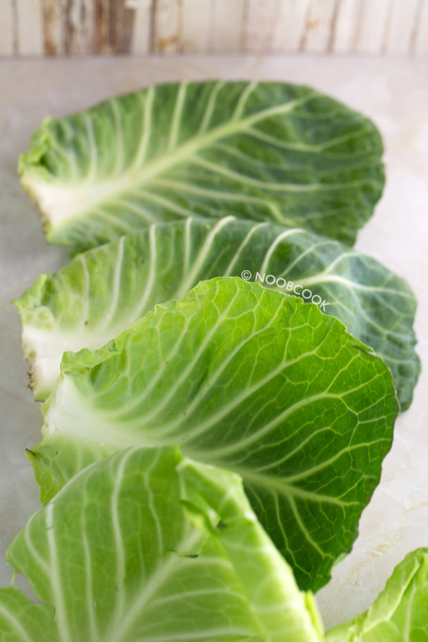 Round Cabbage Outer Leaves