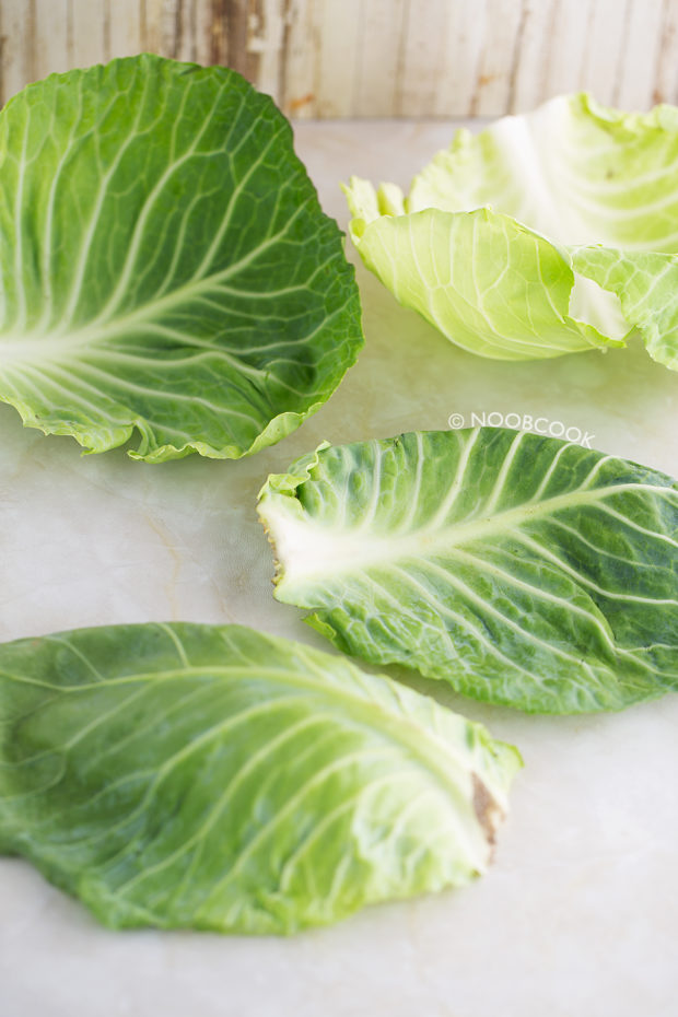 Round Cabbage Outer Leaves